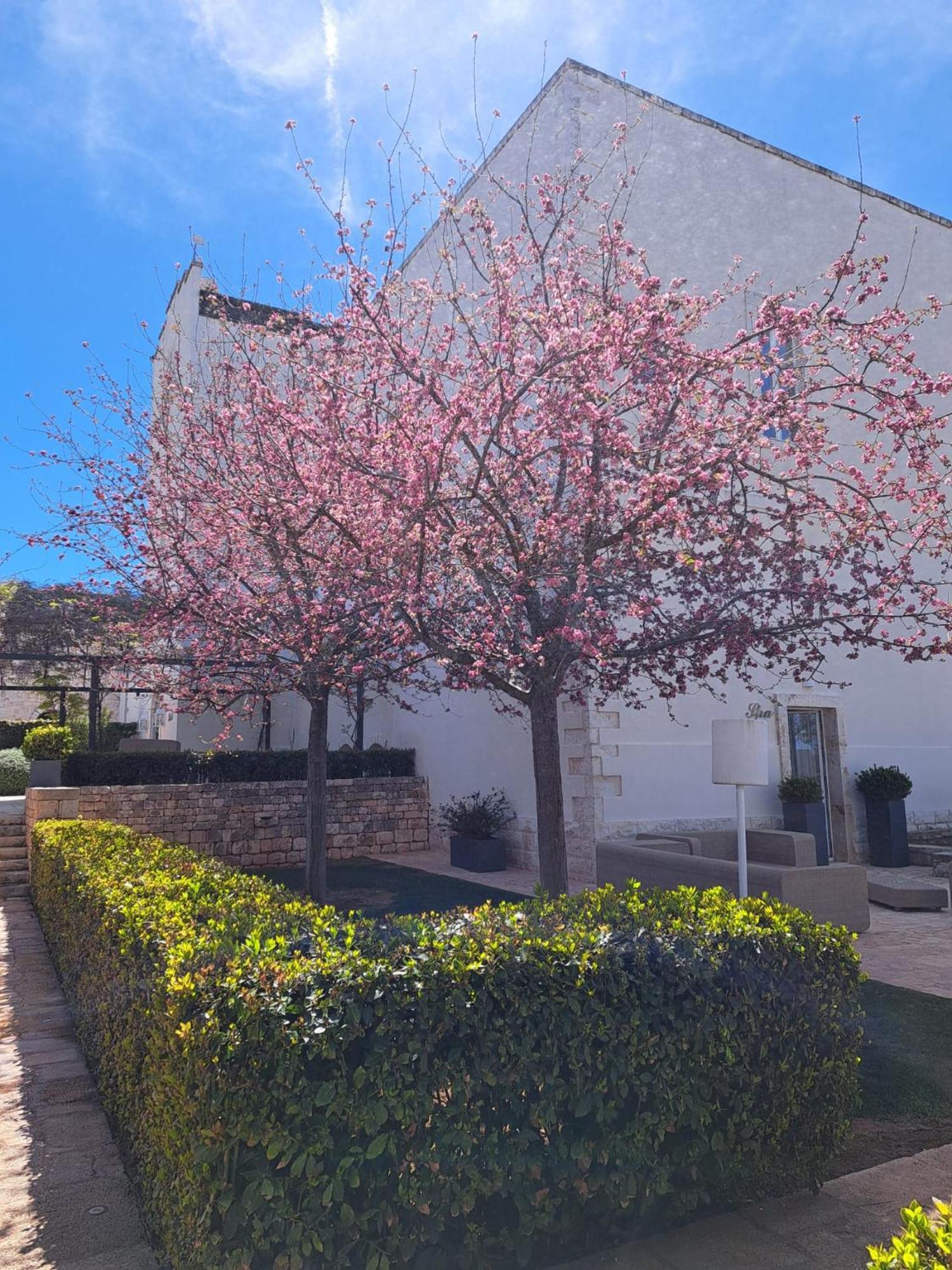 Relais Il Santissimo Hotel Turi Kültér fotó